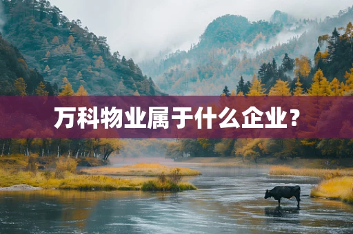 万科物业属于什么企业？
