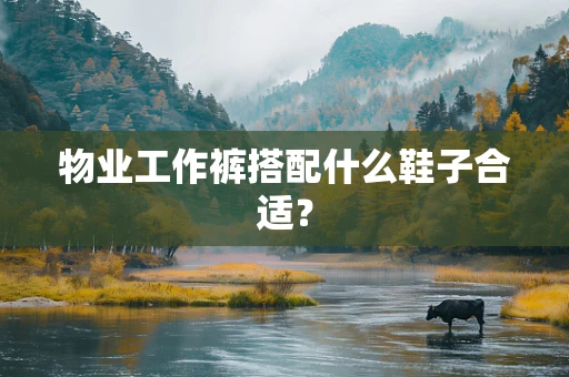 物业工作裤搭配什么鞋子合适？