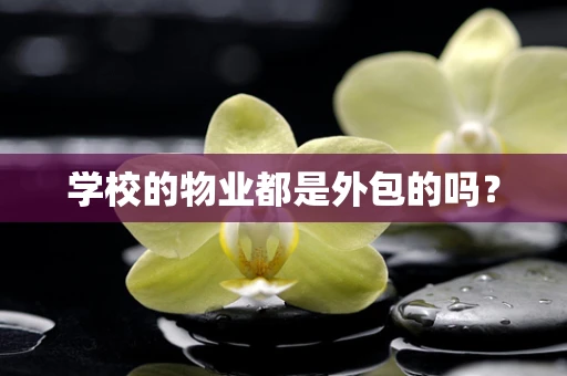学校的物业都是外包的吗？