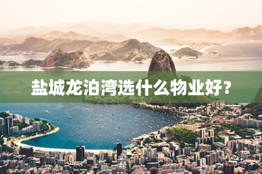 盐城龙泊湾选什么物业好？