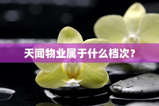 天闻物业属于什么档次？