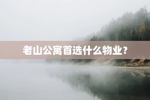 老山公寓首选什么物业？