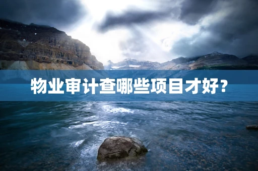 物业审计查哪些项目才好？