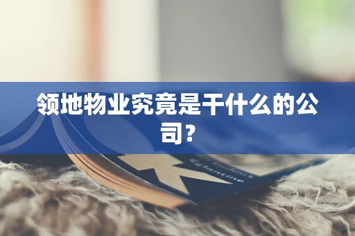 领地物业究竟是干什么的公司？