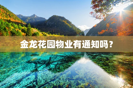 金龙花园物业有通知吗？