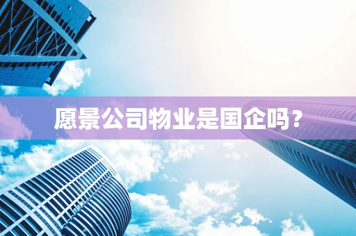 愿景公司物业是国企吗？