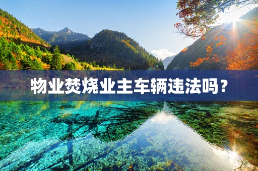 物业焚烧业主车辆违法吗？