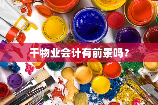 干物业会计有前景吗？