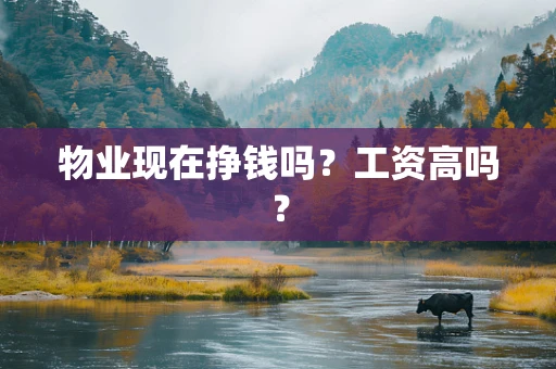 物业现在挣钱吗？工资高吗？