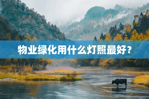 物业绿化用什么灯照最好？