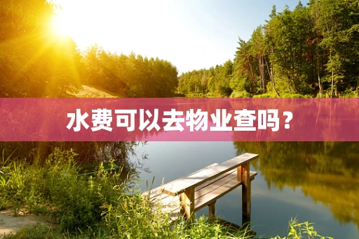 水费可以去物业查吗？