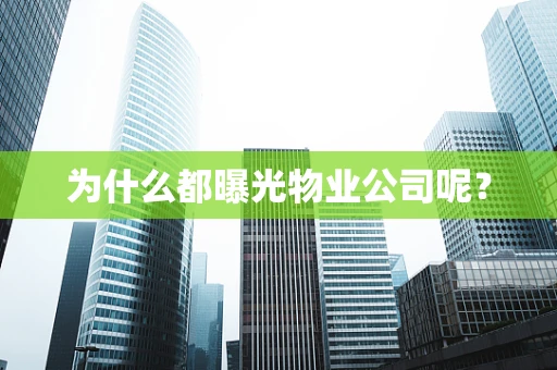 为什么都曝光物业公司呢？