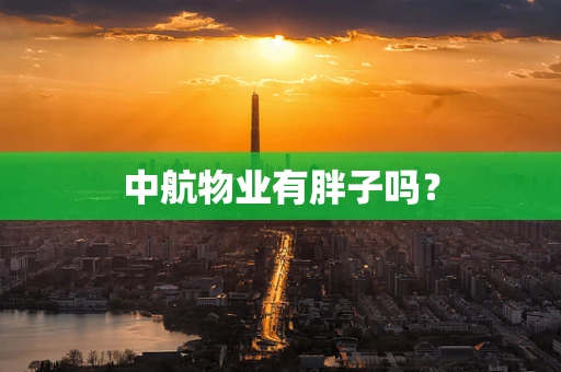 中航物业有胖子吗？