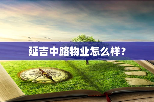 延吉中路物业怎么样？