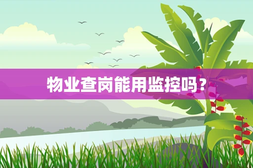 物业查岗能用监控吗？