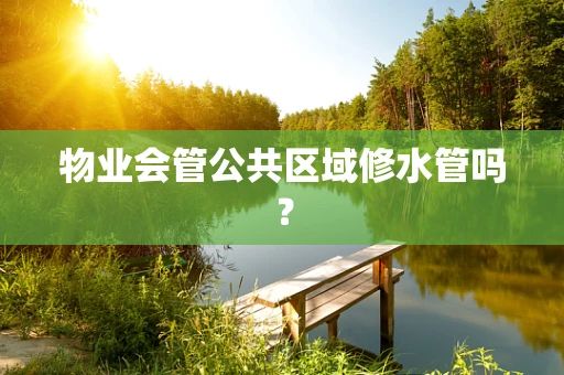 物业会管公共区域修水管吗？
