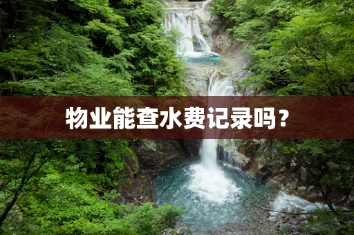 物业能查水费记录吗？