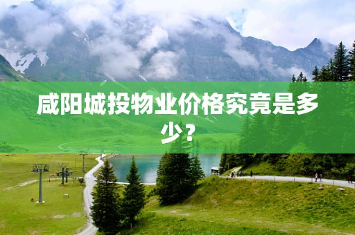 咸阳城投物业价格究竟是多少？