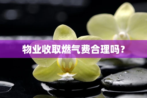 物业收取燃气费合理吗？