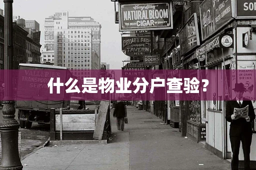 什么是物业分户查验？
