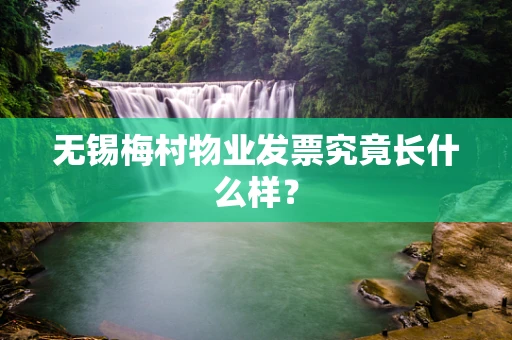 无锡梅村物业发票究竟长什么样？