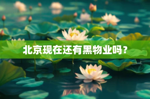 北京现在还有黑物业吗？