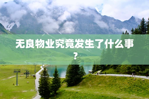 无良物业究竟发生了什么事？