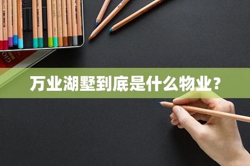 万业湖墅到底是什么物业？