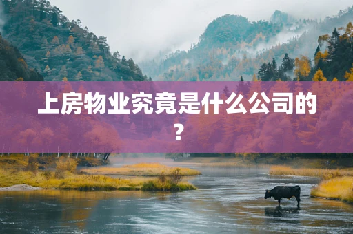 上房物业究竟是什么公司的？