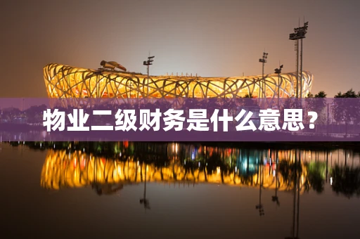 物业二级财务是什么意思？