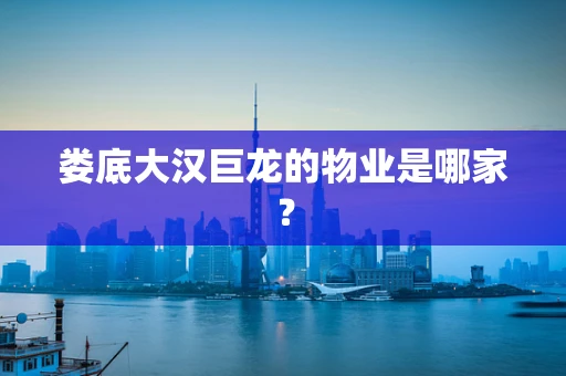 娄底大汉巨龙的物业是哪家？