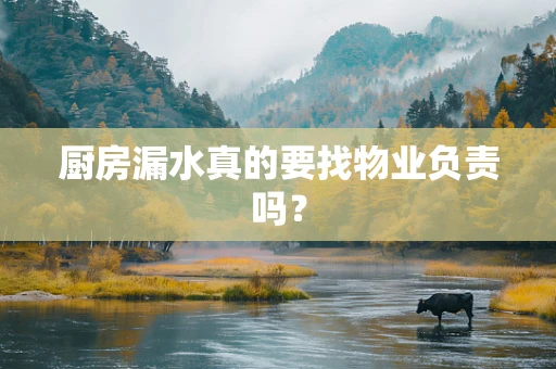 厨房漏水真的要找物业负责吗？