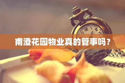 甫澄花园物业真的管事吗？
