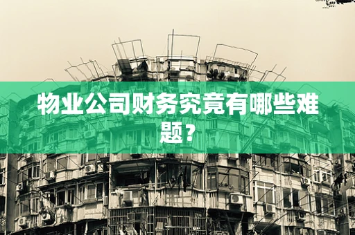 物业公司财务究竟有哪些难题？