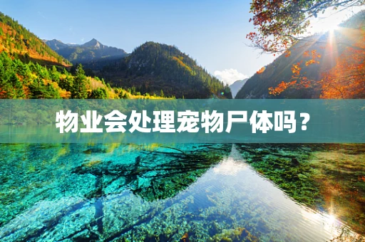 物业会处理宠物尸体吗？