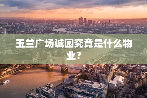 玉兰广场诚园究竟是什么物业？