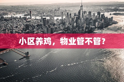 小区养鸡，物业管不管？