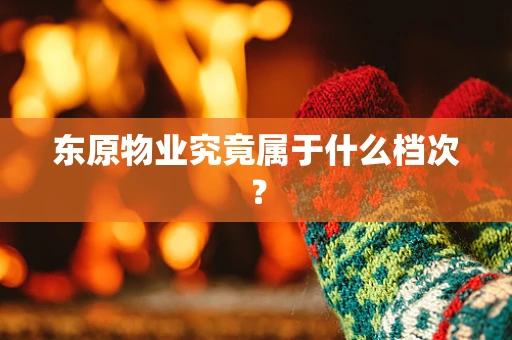 东原物业究竟属于什么档次？