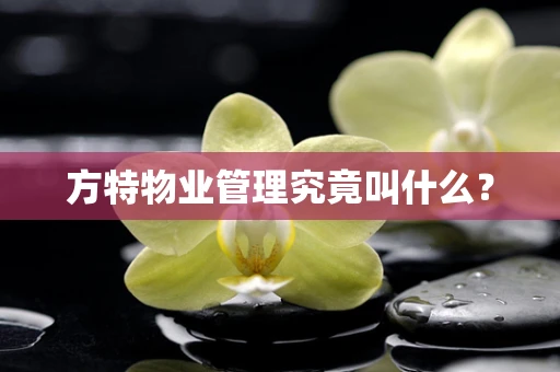 方特物业管理究竟叫什么？