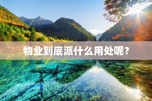 物业到底派什么用处呢？