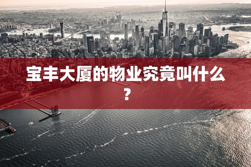 宝丰大厦的物业究竟叫什么？