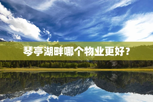 琴亭湖畔哪个物业更好？