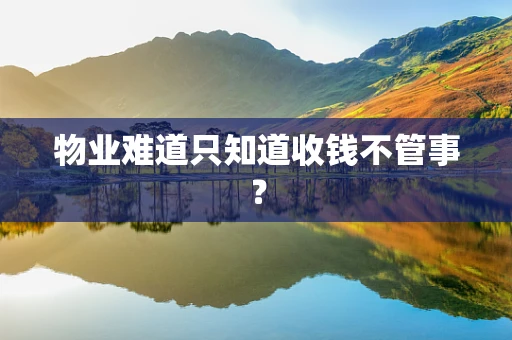 物业难道只知道收钱不管事？