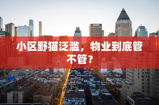 小区野猫泛滥，物业到底管不管？