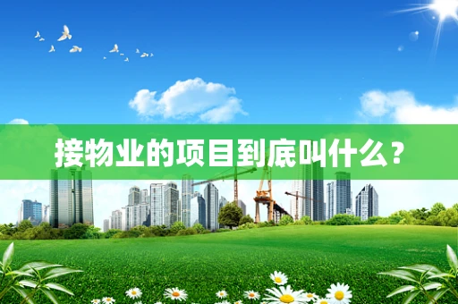 接物业的项目到底叫什么？