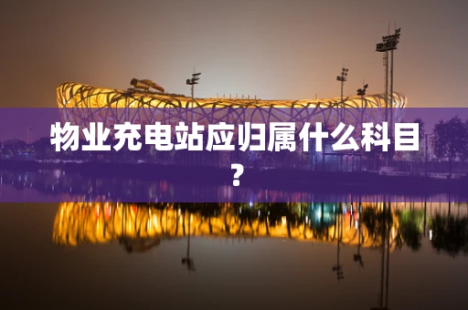 物业充电站应归属什么科目？