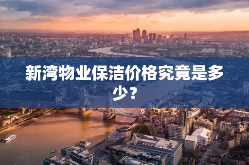 新湾物业保洁价格究竟是多少？