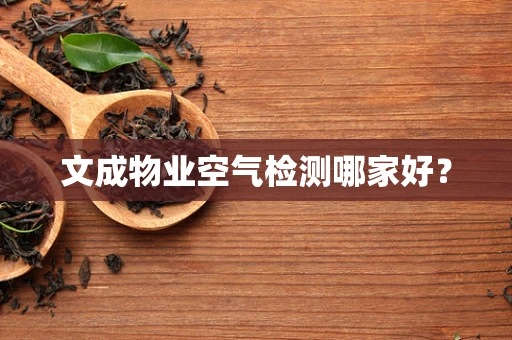 文成物业空气检测哪家好？
