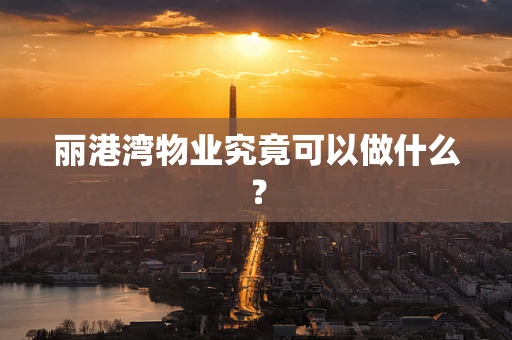 丽港湾物业究竟可以做什么？