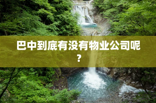 巴中到底有没有物业公司呢？